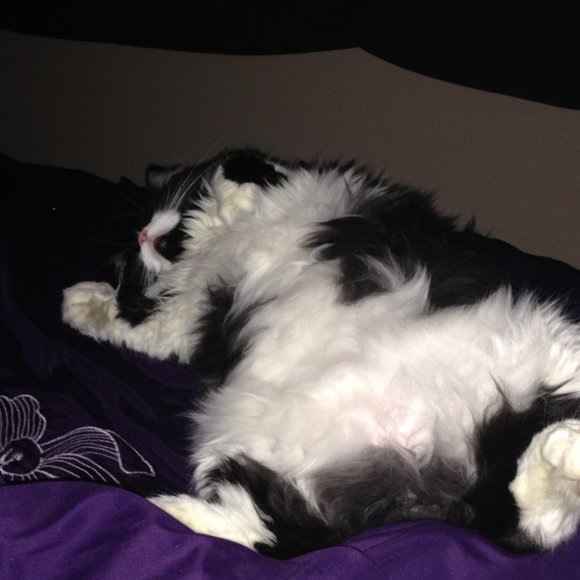 Meet your Posher, Truth - Picture 4 of 4